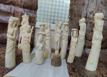 ಕೆಆರ್ ಪುರ ಪೊಲೀಸರು ವಶಪಡಿಸಿಕೊಂಡ ಆಫ್ರಿಕನ್ ಆನೆದಂತ ಕಲಾಕೃತಿಗಳು ಹಾಗೂ ಹೆಬ್ಬಾವಿನ ಹಾವಿನ ಚರ್ಮದ ಚಿತ್ರ