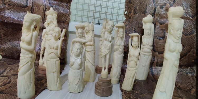 ಕೆಆರ್ ಪುರ ಪೊಲೀಸರು ವಶಪಡಿಸಿಕೊಂಡ ಆಫ್ರಿಕನ್ ಆನೆದಂತ ಕಲಾಕೃತಿಗಳು ಹಾಗೂ ಹೆಬ್ಬಾವಿನ ಹಾವಿನ ಚರ್ಮದ ಚಿತ್ರ