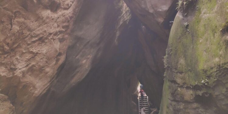 ಇಡಕ್ಕಲ್ ಗುಹೆ ಚಿತ್ರ