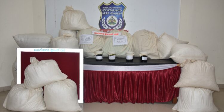 ಬೆಂಗಳೂರು ನಗರ ಪೊಲೀಸರು 556 ಕೆಜೆ ಗಾಂಜಾ ಮತ್ತು 6 ಕೆಜಿ ಹಶೀಷ್ ಎಣ್ಣೆ ವಶಪಡಿಸಿಕೊಂಡಿರುವ ಚಿತ್ರ