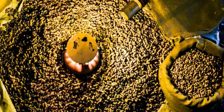 ಕಡಲೇಕಾಯಿ ಪರಿಷೆ ಸಾಂದರ್ಭಿಕ ಚಿತ್ರ (ಕೃಪೆ : ಕರ್ನಾಟಕ ಪ್ರವಾಸೋದ್ಯಮ ಇಲಾಖೆ)