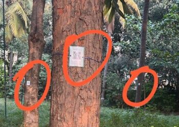 ಮರ ಗಣತಿ ಪೈಲೆಟ್ ಯೋಜನೆಯಲ್ಲಿ ಮರದ ವಿವರಗಳನ್ನು ಹೊಂದಿರುವ ಕ್ಯೂ ಆರ್ ಕೋಡ್ ಚಿತ್ರವನ್ನು ದಾರದಿಂದ ಸುತ್ತಿ ಅಳವಡಿಸಿರುವುದು.