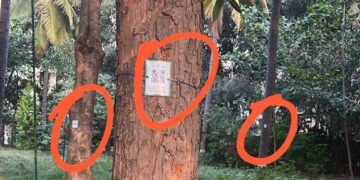 ಮರ ಗಣತಿ ಪೈಲೆಟ್ ಯೋಜನೆಯಲ್ಲಿ ಮರದ ವಿವರಗಳನ್ನು ಹೊಂದಿರುವ ಕ್ಯೂ ಆರ್ ಕೋಡ್ ಚಿತ್ರವನ್ನು ದಾರದಿಂದ ಸುತ್ತಿ ಅಳವಡಿಸಿರುವುದು.