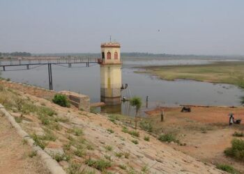 ಬೆಂಗಳೂರಿನ ಹೆಸರಘಟ್ಟ ಕೆರೆಯ ಚಿತ್ರ