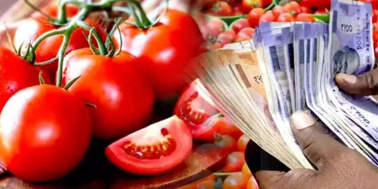 ಟೊಮೋಟೊ ದರ ಏರಿಕೆ ಕುರಿತ ಪ್ರಾತಿನಿಧಿಕ ಚಿತ್ರ