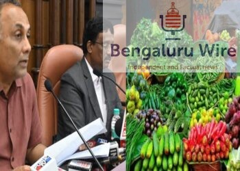 No Chemicals In Kolar Grown Vegetables