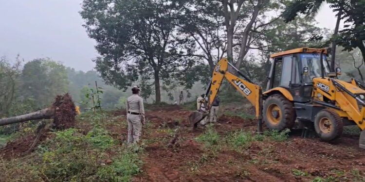 Forest Encroachment Removal