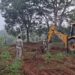 Forest Encroachment Removal
