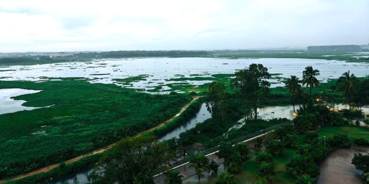 ಬೆಳ್ಳಂದೂರು ಕೆರೆಯ ಪಕ್ಷಿನೋಟ.