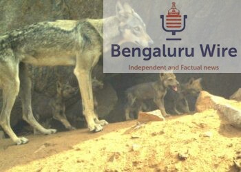 Bankapura Wolf Sanctuary