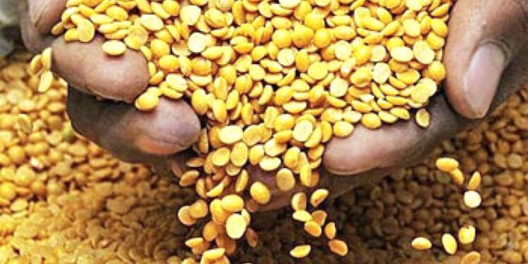 CREATOR: gd-jpeg v1.0 (using IJG JPEG v62), default quality?